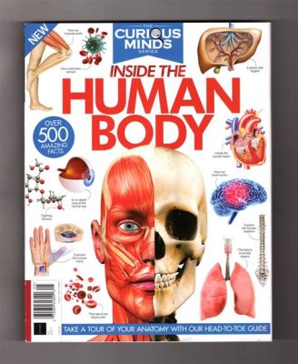 Dive into Discovering the Human Body: A Microscopic Adventure for Curious Minds!