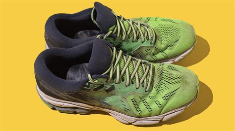 How to Tell If Running Shoes Are Worn Out: And Why Your Dog Might Be a Better Judge Than You