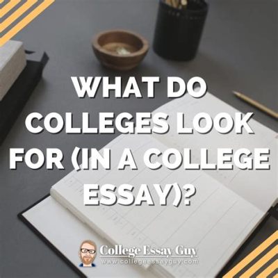 What do colleges look for in essays: A journey through the labyrinth of admissions